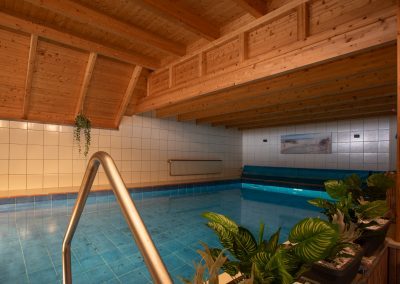 Ferienwohnung mit Pool im Koog - Foto Dirk Jacobs