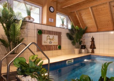 Ferienwohnung mit Pool im Koog - Foto Dirk Jacobs