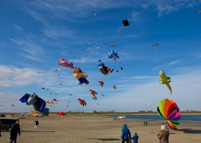 Ferienwohnung im Koog - Foto Dirk Jacobs