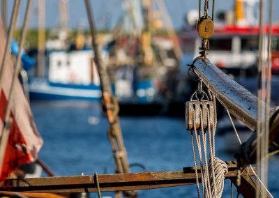 Ferienwohnung im Koog - Büsum Foto Dirk Jacobs