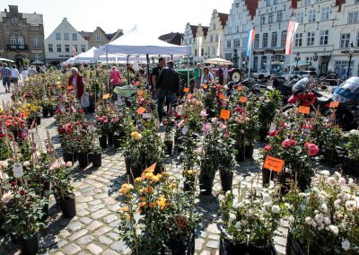 Ferienwohnung im Koog - Friedrichstadt Foto Dirk Jacobs